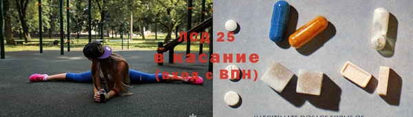 ГАЛЛЮЦИНОГЕННЫЕ ГРИБЫ Ладушкин