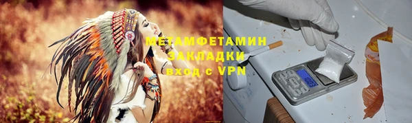 ГАЛЛЮЦИНОГЕННЫЕ ГРИБЫ Ладушкин