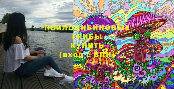 ГАЛЛЮЦИНОГЕННЫЕ ГРИБЫ Ладушкин