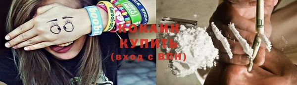 дмт Лабытнанги