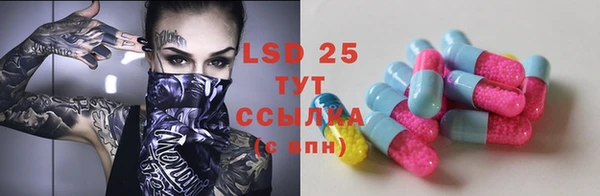 крисы Лагань