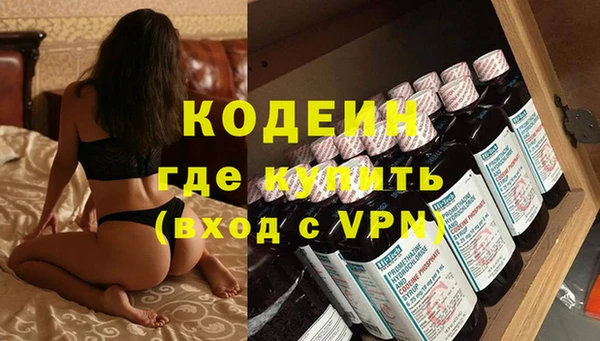 крисы Лагань