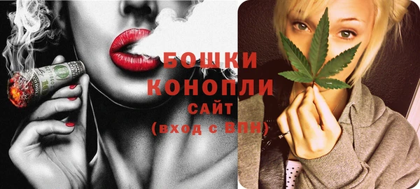 крисы Лагань