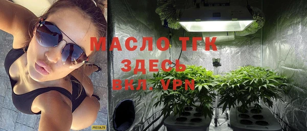 дмт Лабытнанги