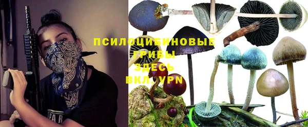 крисы Лагань