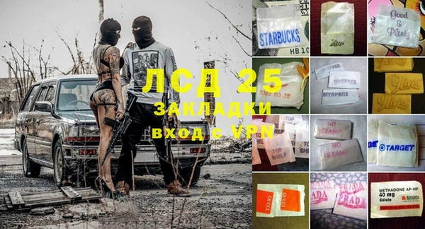 ГАЛЛЮЦИНОГЕННЫЕ ГРИБЫ Ладушкин