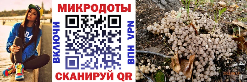 Галлюциногенные грибы Cubensis Ярославль
