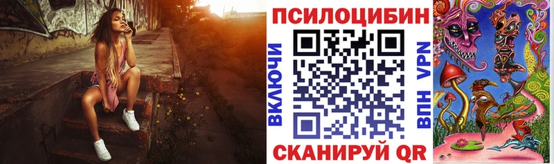 Псилоцибиновые грибы Cubensis  Купить где  Ярославль 