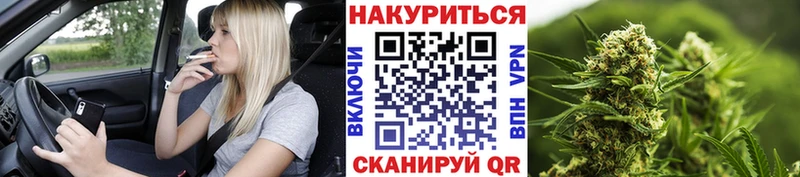 Конопля сатива  Купить где  Ярославль 